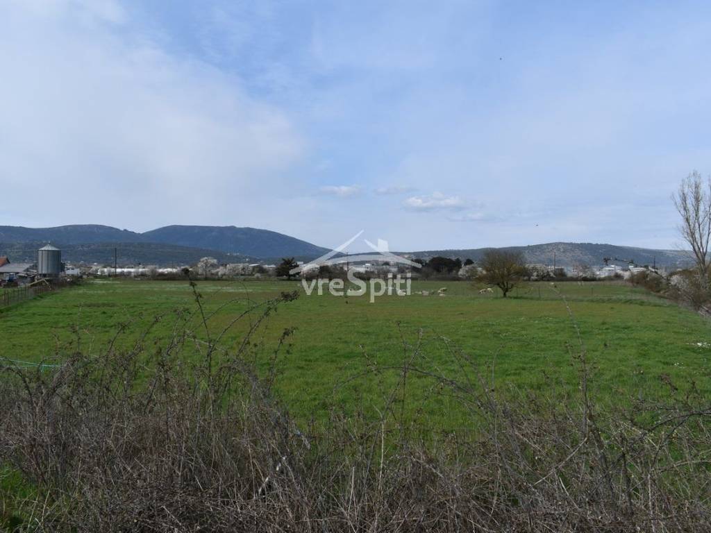 ΑΠΟΨΗ ΑΓΡΟΤΕΜΑΧΙΟΥ