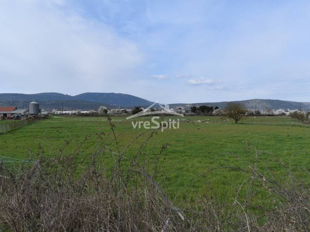 ΑΠΟΨΗ ΑΓΡΟΤΕΜΑΧΙΟΥ