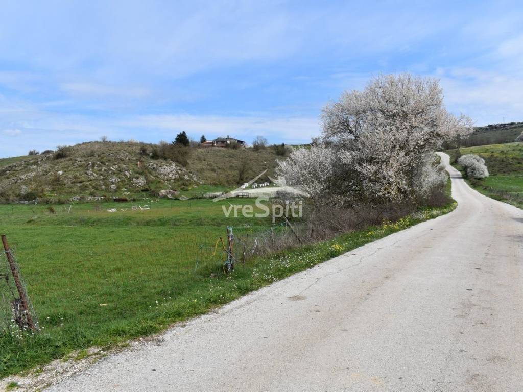 ΑΠΟΨΗ ΑΓΡΟΤΕΜΑΧΙΟΥ