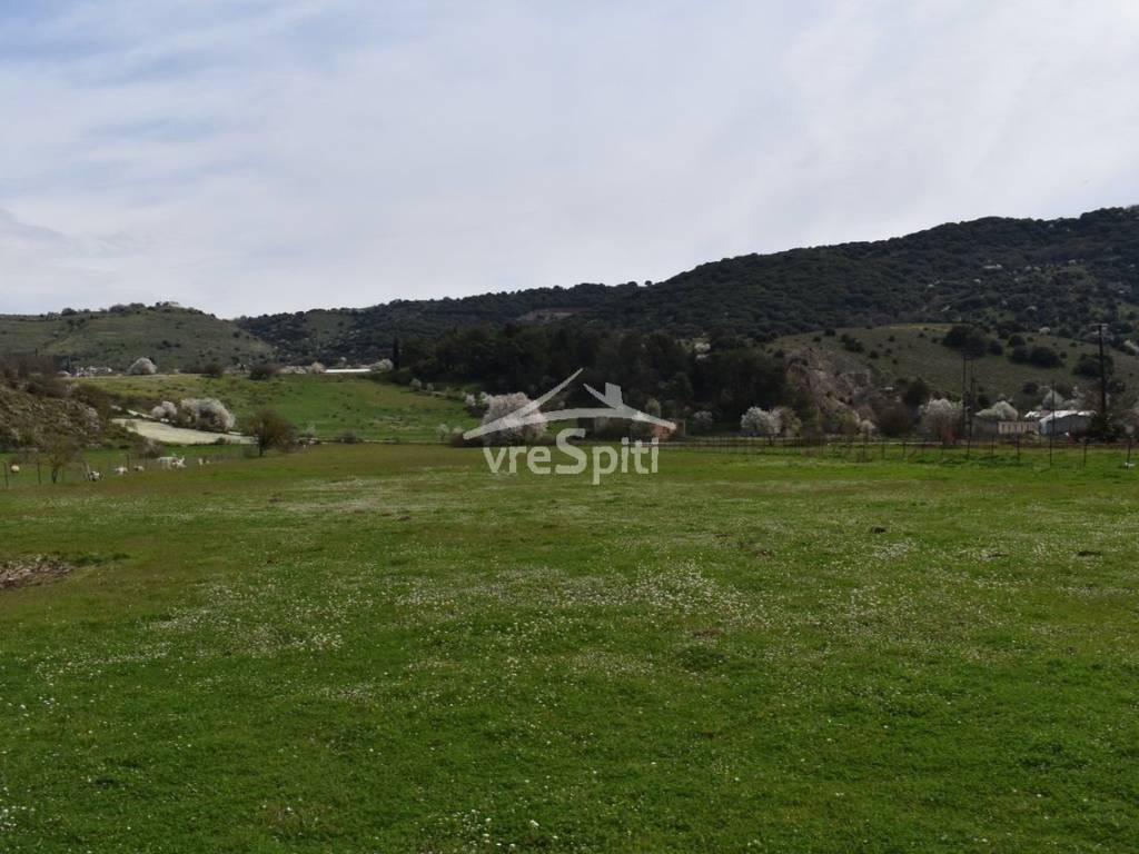 ΑΠΟΨΗ ΑΓΡΟΤΕΜΑΧΙΟΥ