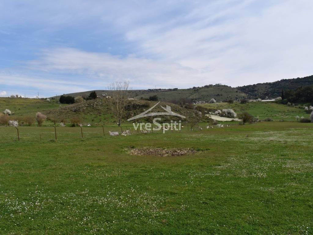 ΑΠΟΨΗ ΑΓΡΟΤΕΜΑΧΙΟΥ