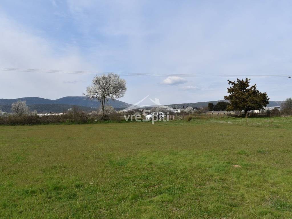 ΑΠΟΨΗ ΑΓΡΟΤΕΜΑΧΙΟΥ