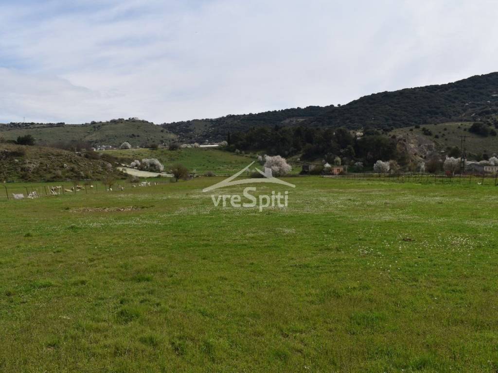 ΑΠΟΨΗ ΑΓΡΟΤΕΜΑΧΙΟΥ