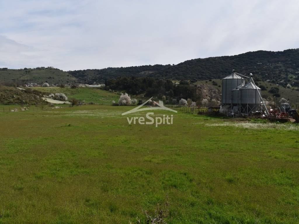 ΑΠΟΨΗ ΑΓΡΟΤΕΜΑΧΙΟΥ