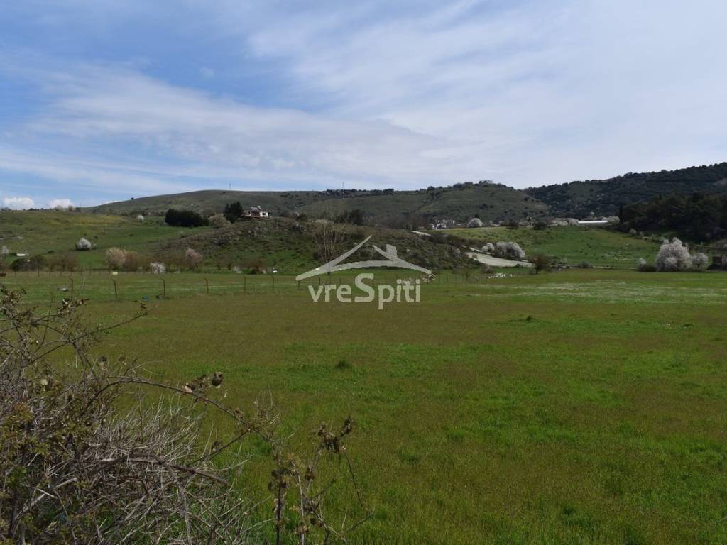 ΑΠΟΨΗ ΑΓΡΟΤΕΜΑΧΙΟΥ