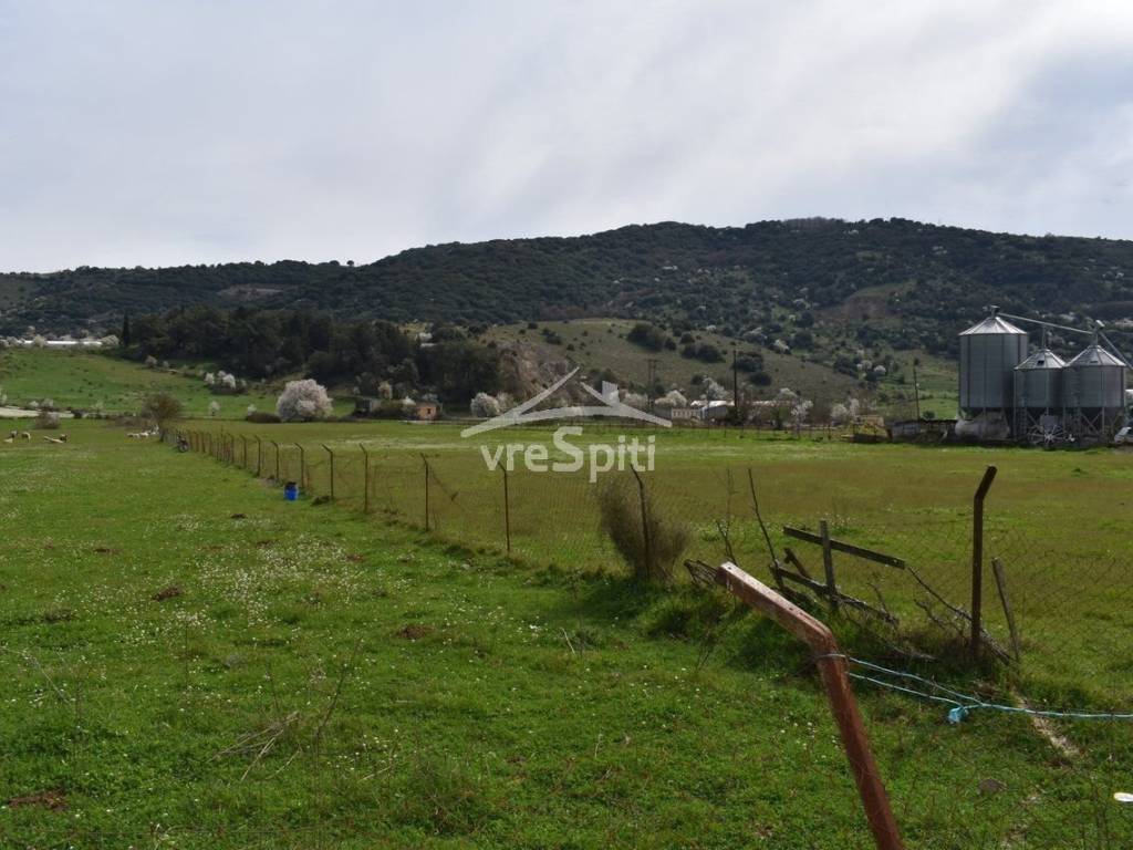 ΑΠΟΨΗ ΑΓΡΟΤΕΜΑΧΙΟΥ