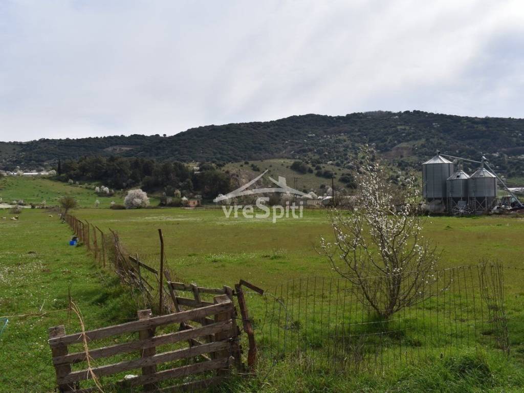 ΑΠΟΨΗ ΑΓΡΟΤΕΜΑΧΙΟΥ