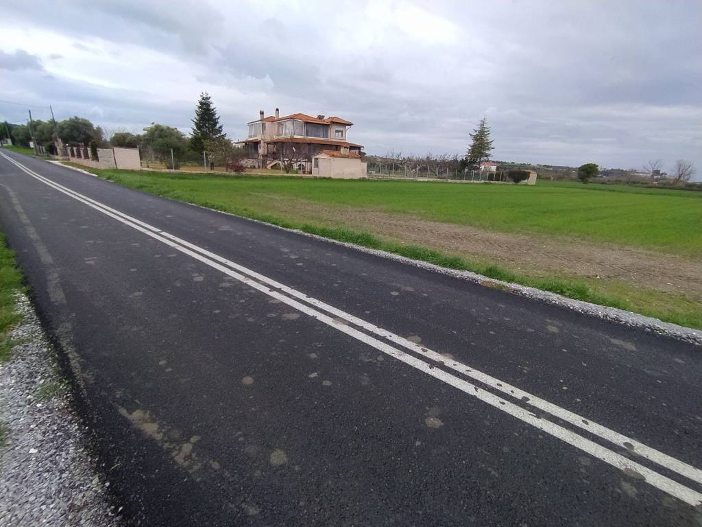 ANYPLACE MESITIKES YPERESIES