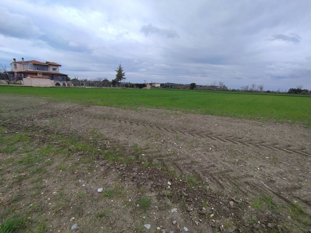 ANYPLACE MESITIKES YPERESIES