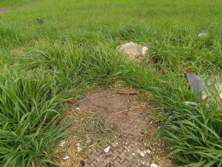 ANYPLACE MESITIKES YPERESIES