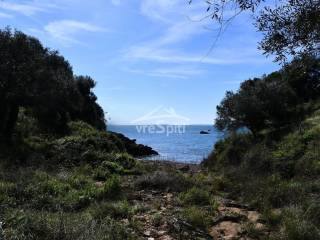 ΘΕΑ ΑΓΡΟΤΕΜΑΧΙΟΥ