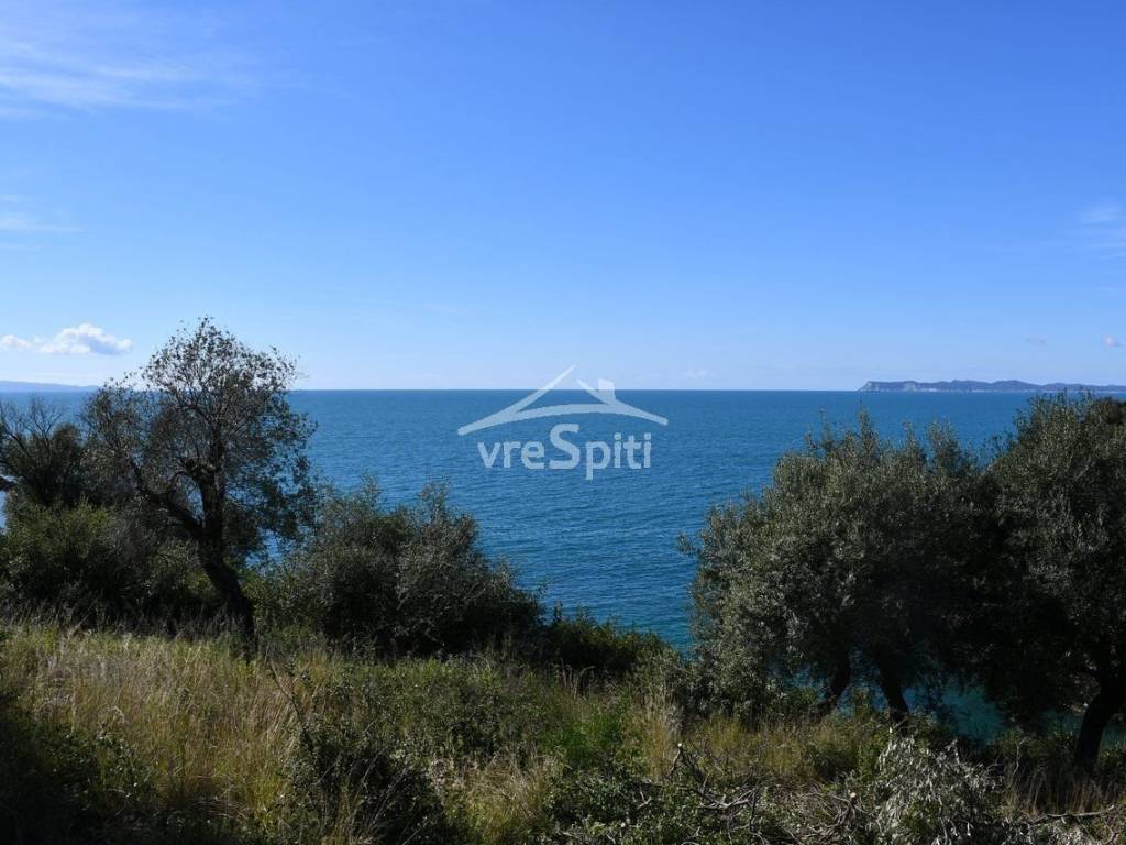 ΘΕΑ ΑΓΡΟΤΕΜΑΧΙΟΥ