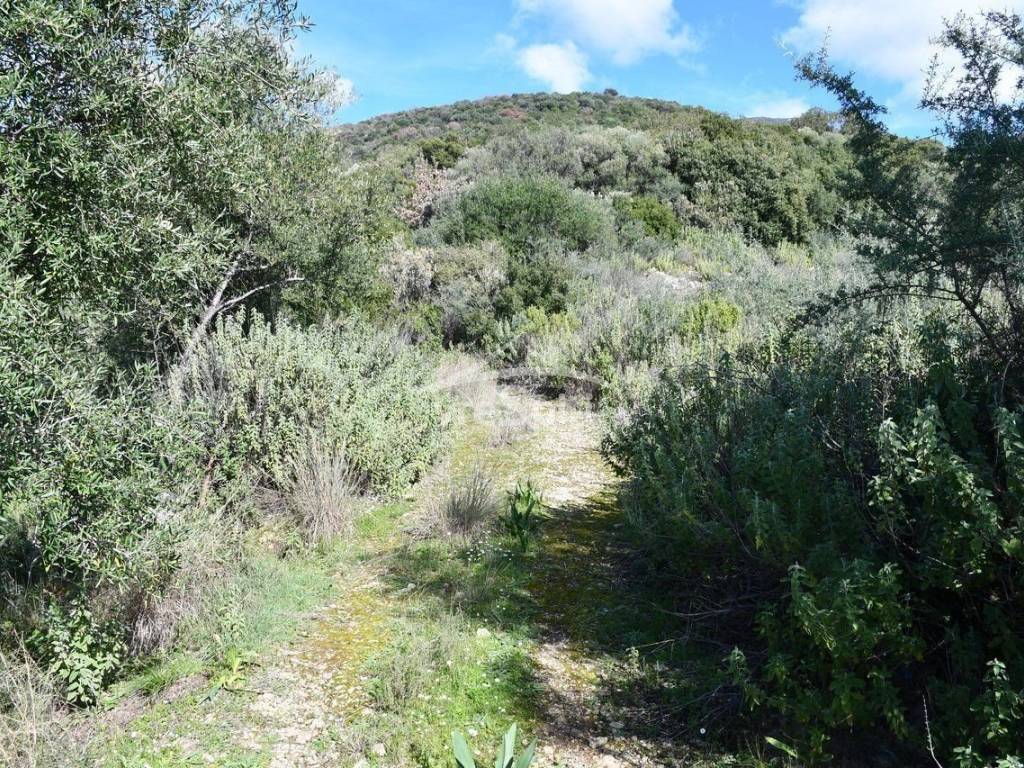 ΑΠΟΨΗ ΑΓΡΟΤΕΜΑΧΙΟΥ