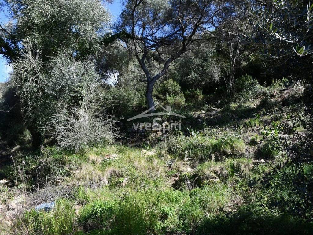 ΑΠΟΨΗ ΑΓΡΟΤΕΜΑΧΙΟΥ