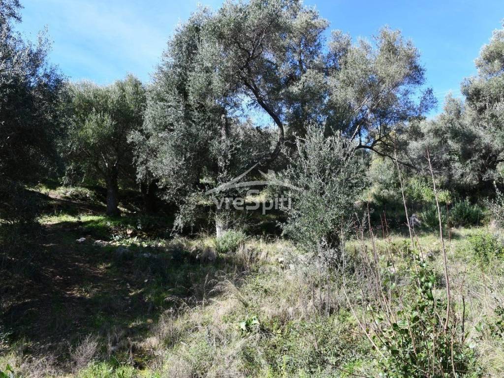 ΑΠΟΨΗ ΑΓΡΟΤΕΜΑΧΙΟΥ