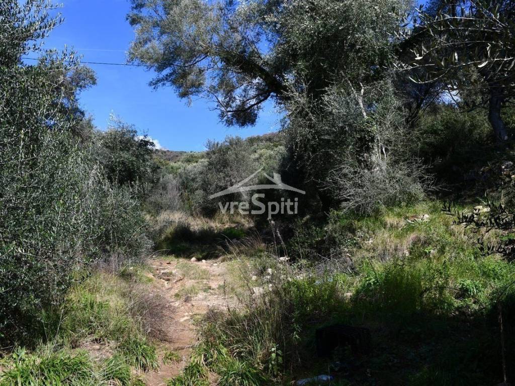 ΑΠΟΨΗ ΑΓΡΟΤΕΜΑΧΙΟΥ