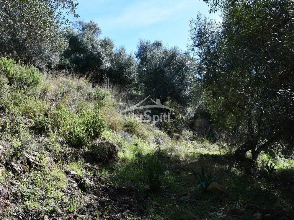 ΑΠΟΨΗ ΑΓΡΟΤΕΜΑΧΙΟΥ