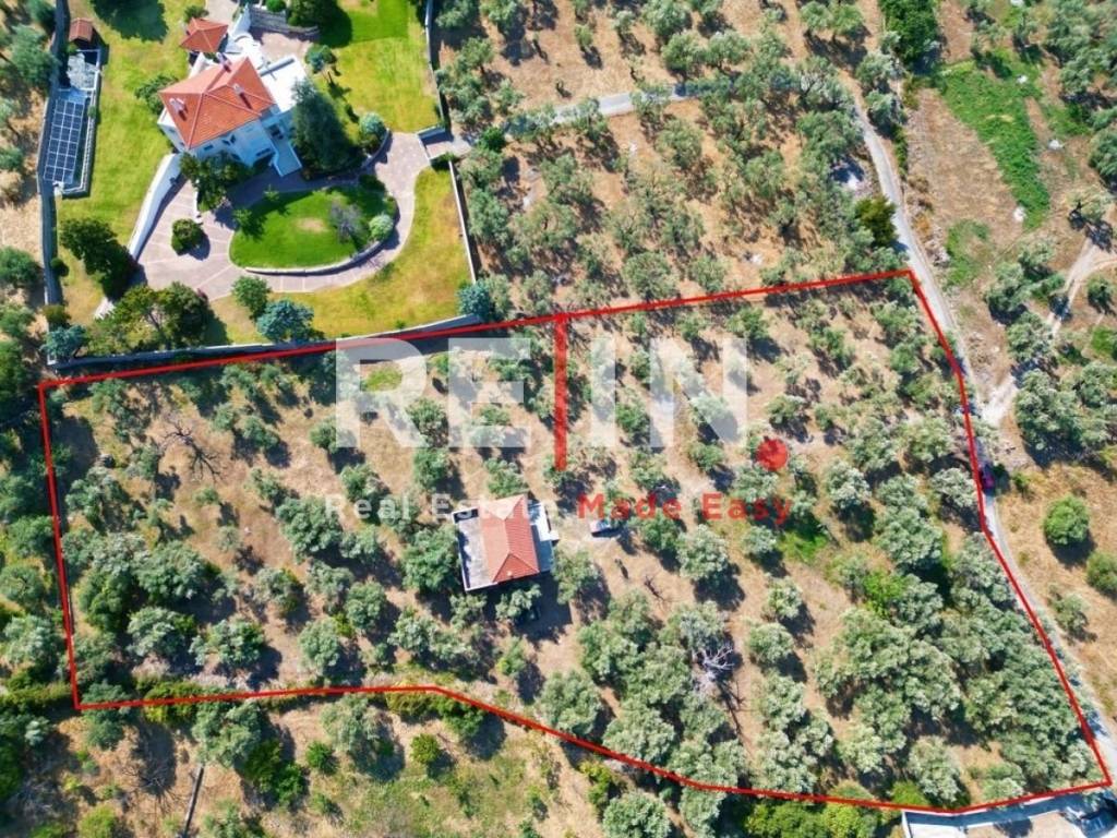 Ύπαρξη ανθρώπου