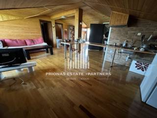 Ύπαρξη ανθρώπου