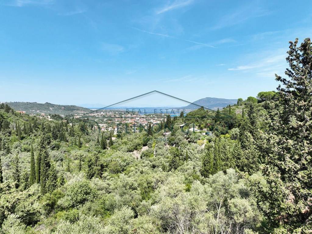 Η όμορφη θέα από το αγροτεμάχιο