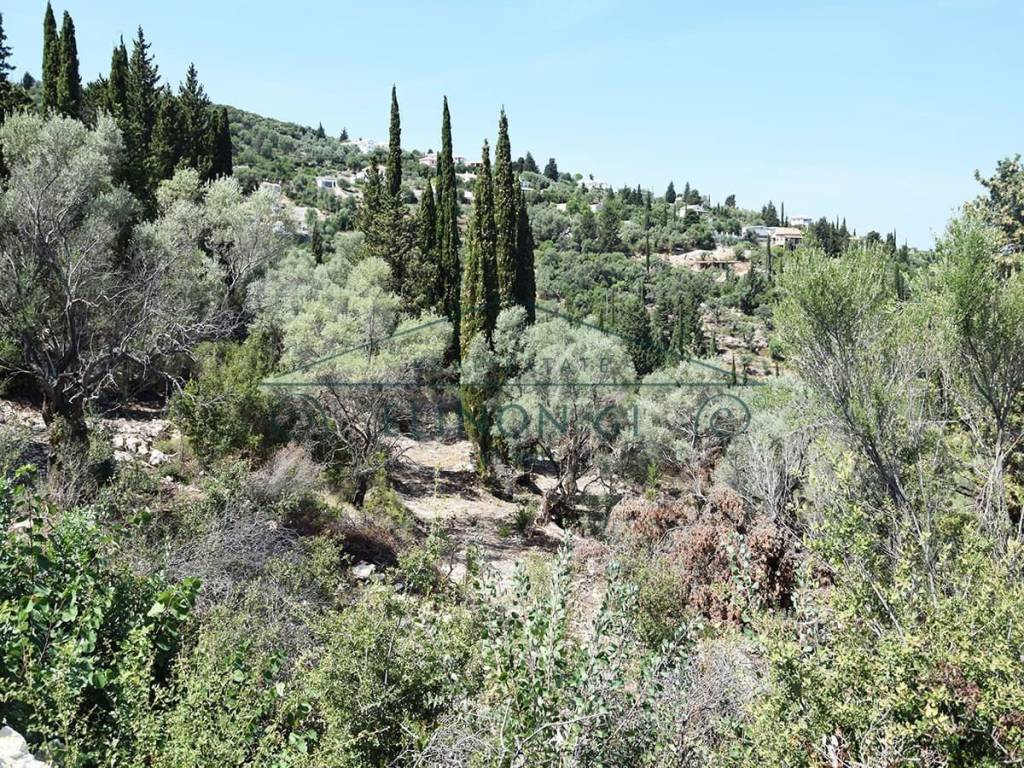 Εντός του αγροτεμαχίου