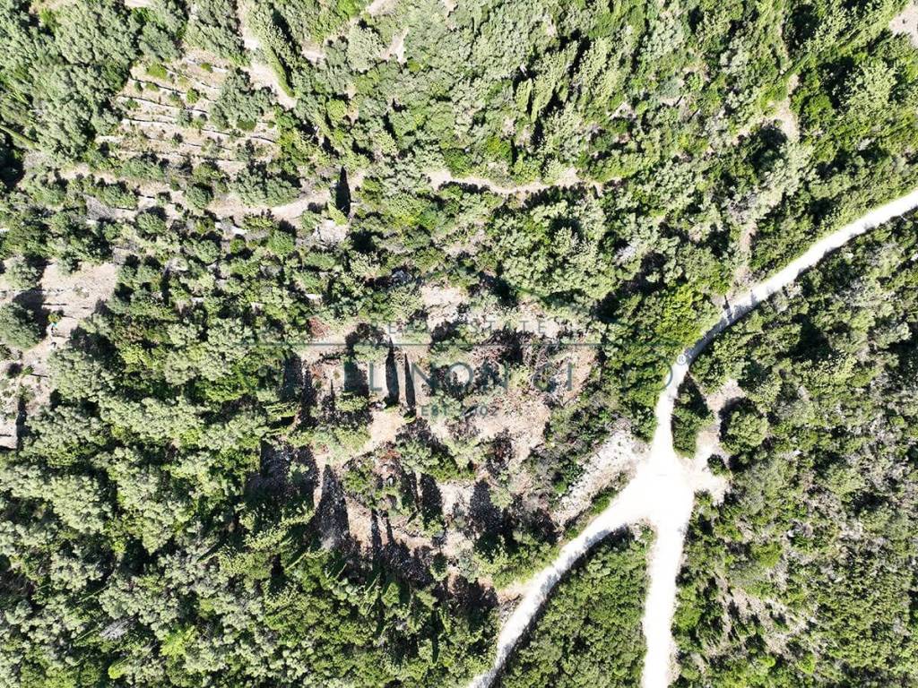 Το αγροτεμάχιο από ψηλά