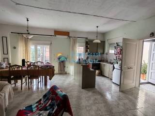 Σαλοκουζίνα