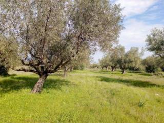 Εξωτερικοι χώροι