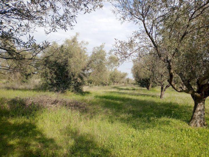 Εξωτερικοι χώροι