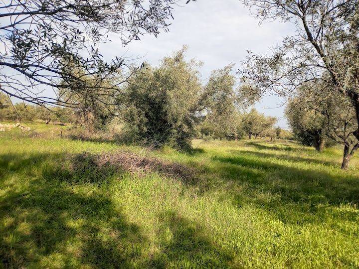 Εξωτερικοι χώροι