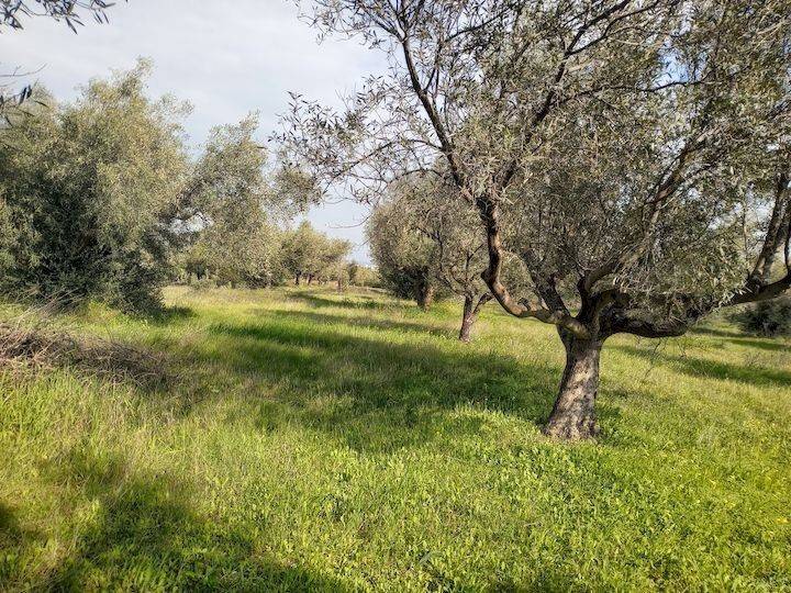 Εξωτερικοι χώροι