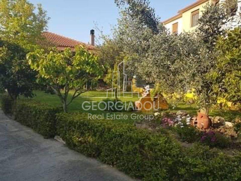 Εξωτερικός χώρος