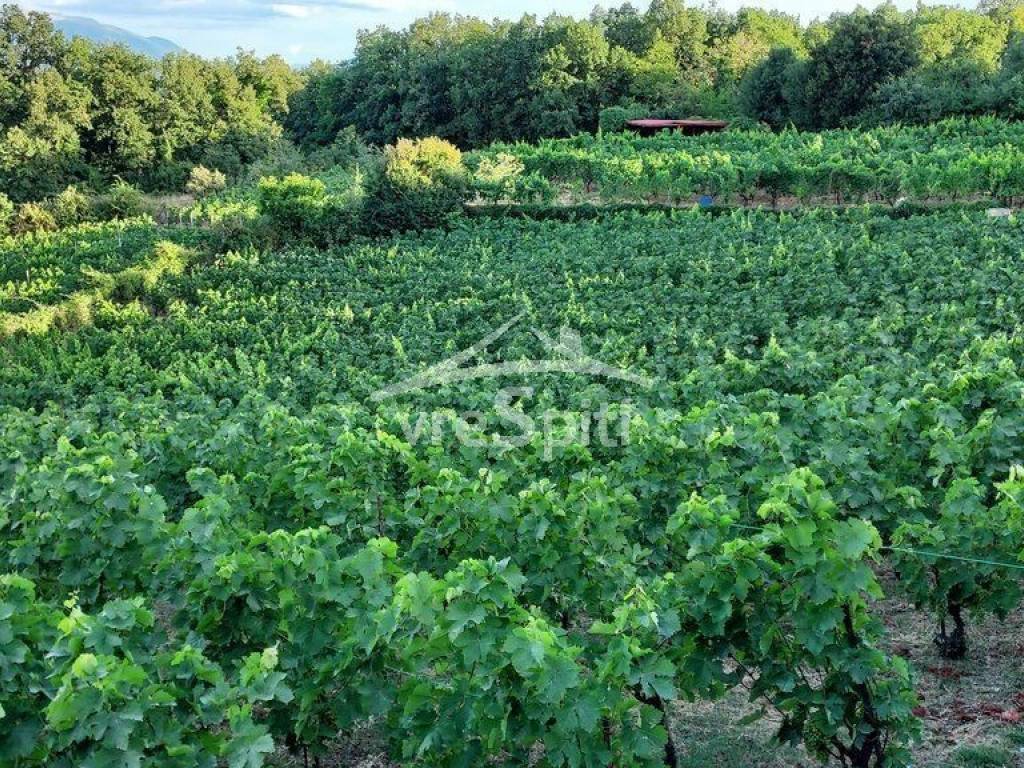 ΑΠΟΨΗ ΑΚΙΝΗΤΟΥ