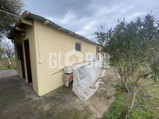 Εξωτερικός χώρος