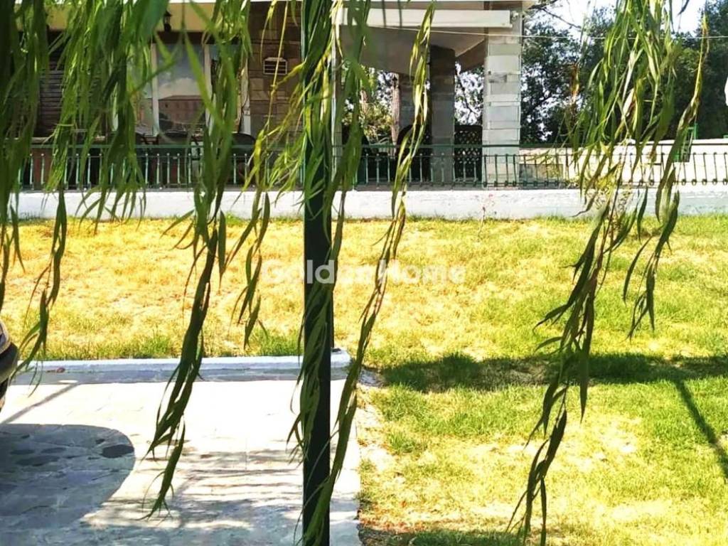 Εξωτερικός Χώρος