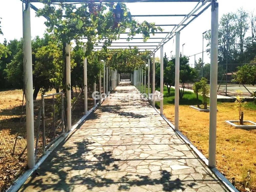 Εξωτερικός Χώρος