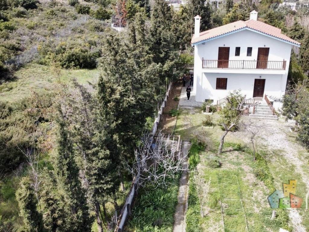 Εξωτερικοι χώροι