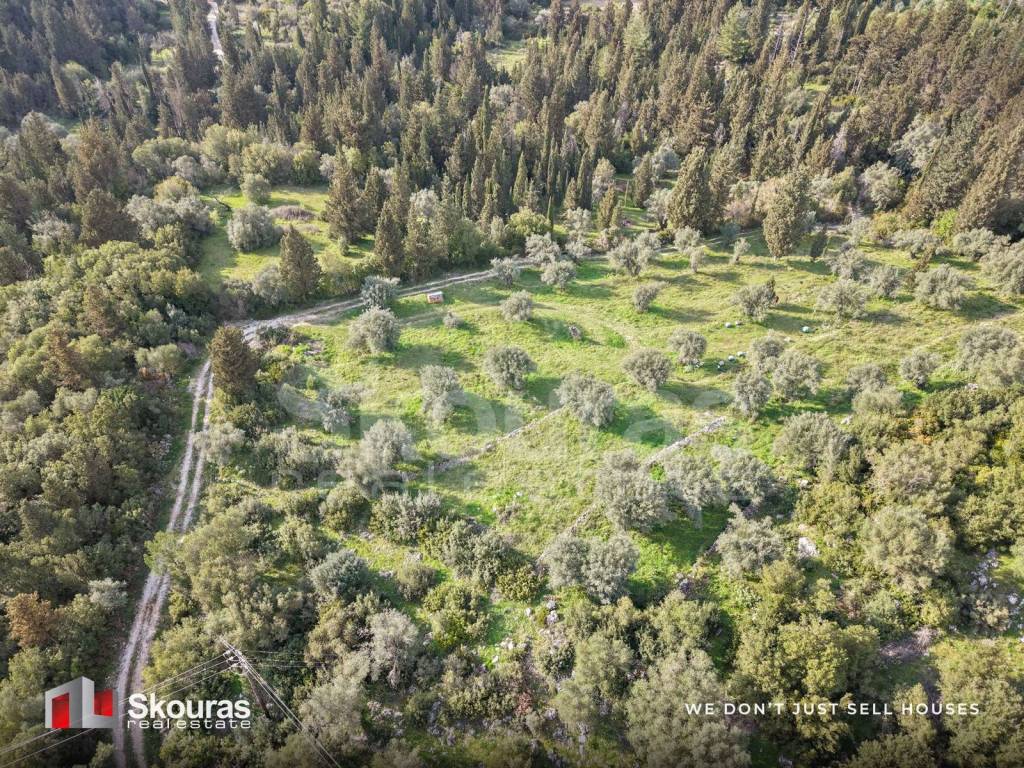 Εξωτερικοι χώροι