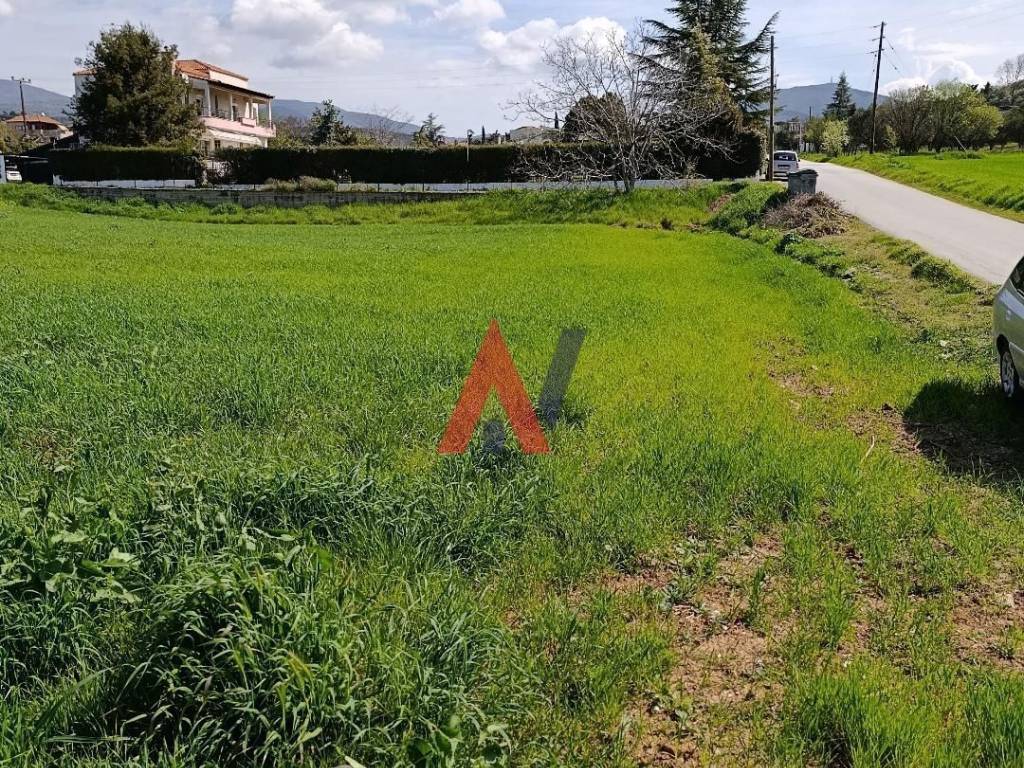 ΜΕΤΩΠΟ ΕΠΙ ΔΡΟΜΟΥ.jpg