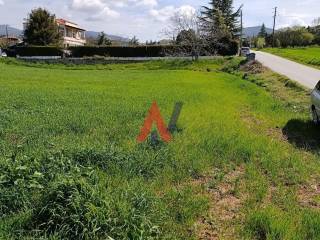 ΜΕΤΩΠΟ ΕΠΙ ΔΡΟΜΟΥ.jpg