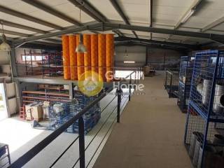 Ανελκυστήρας