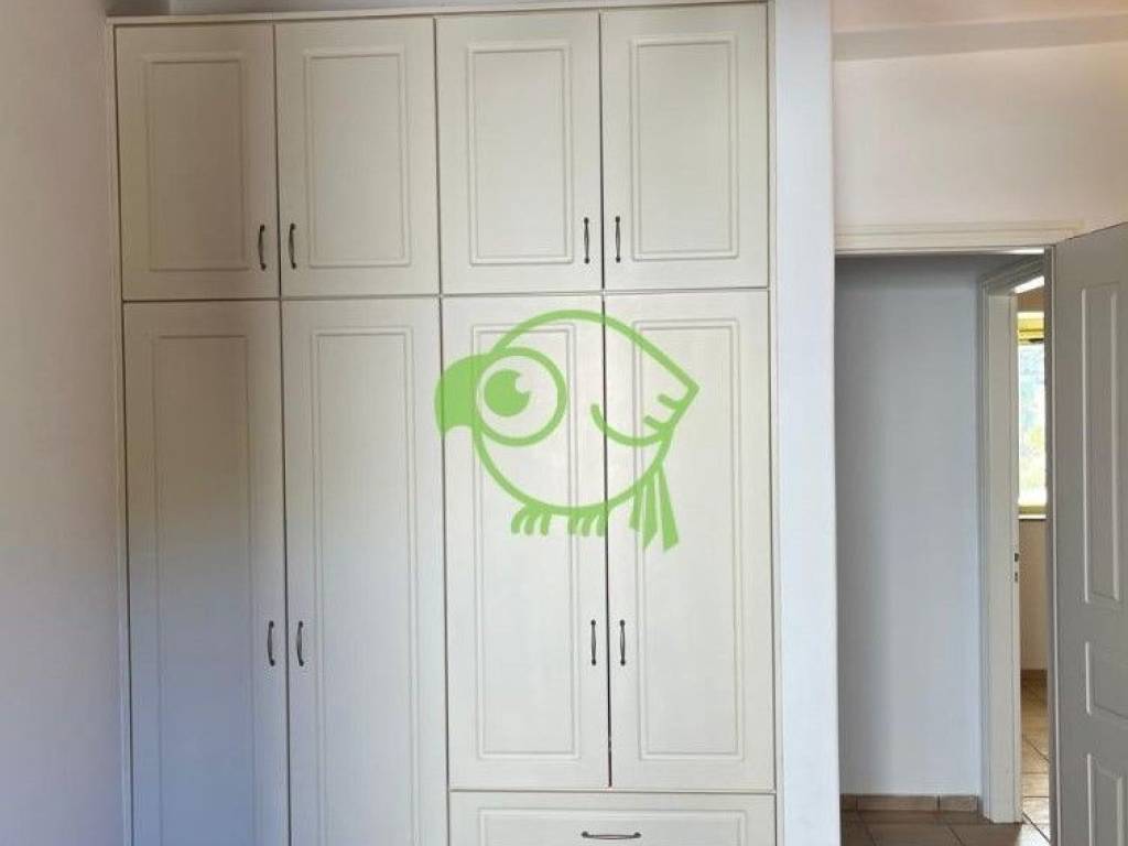 Entoichismenes ntoylapes