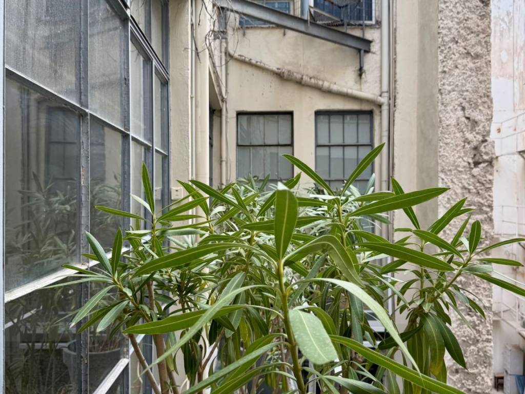 monastiraki_commercial_office_for_rent