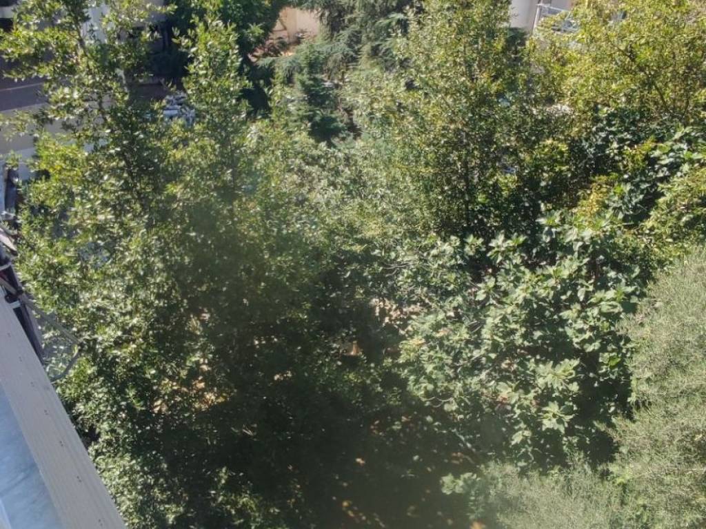 θέα από το μπαλκόνι