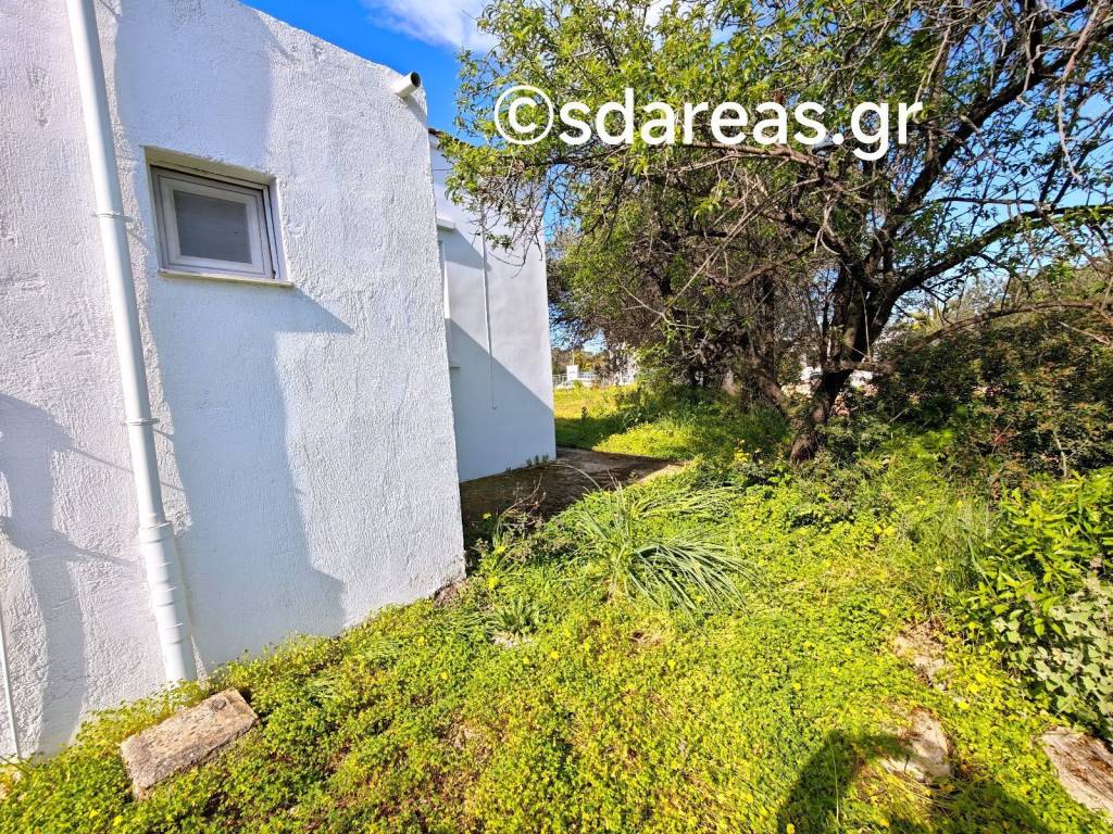 piso pleyra katoikias