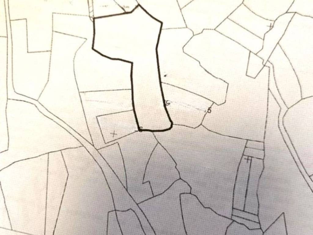 ANYPLACE MESITIKES YPERESIES