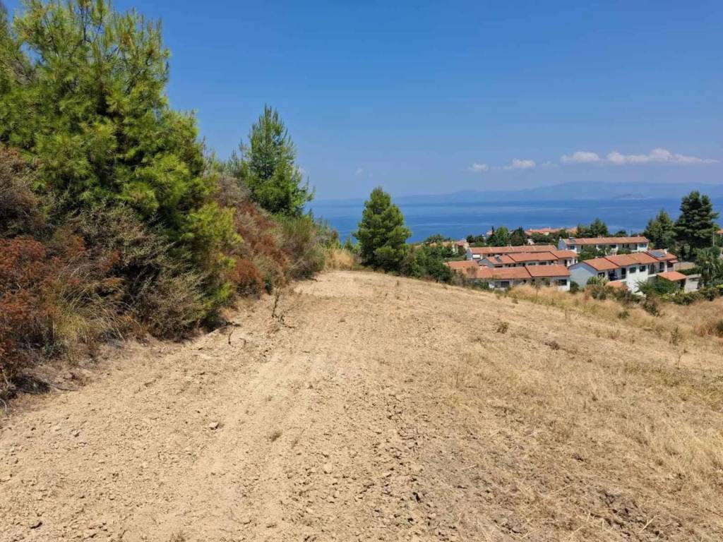 ANYPLACE ΜΕΣΙΤΙΚΕΣ ΥΠΗΡΕΣΙΕΣ