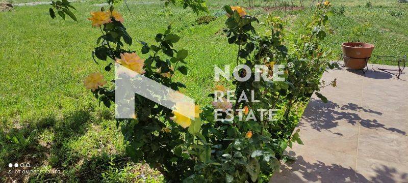 Ύπαρξη ανθρώπου