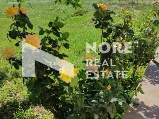 Ύπαρξη ανθρώπου