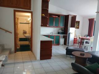 Diamerisma 1oy Orophoy 74tm